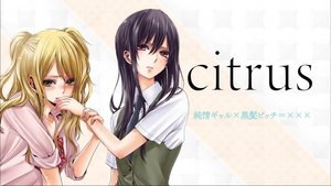 Citrus (2018) พี่น้องยูริ