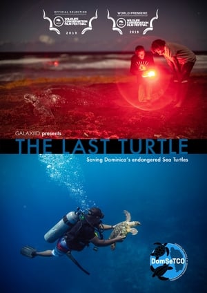 Image The Last Turtle