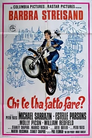 Poster di Chi te l'ha fatto fare?