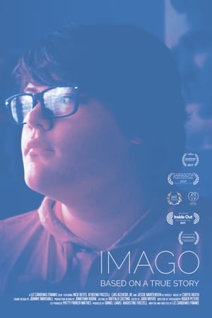 Poster Imago 2017
