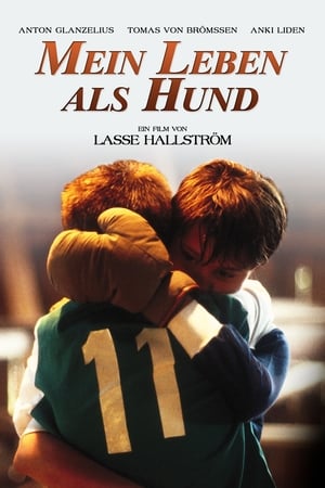 Poster Mein Leben als Hund 1985