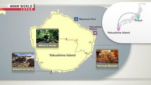 Journeys in Japan: 14×29