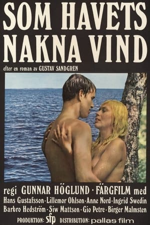 Poster 一个瑞典的夏天 1968