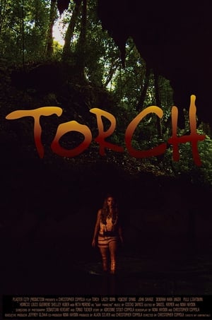 Poster Torch (2018)