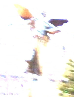 Know Who You Are At Every Age (2026)