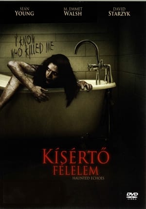 Poster Kísértő félelem 2008