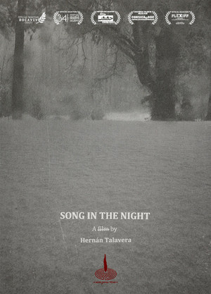 Song in the Night
