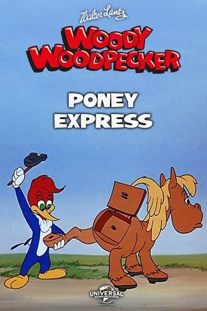 Poney Express 1951