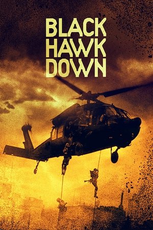 poster Black Hawk Down