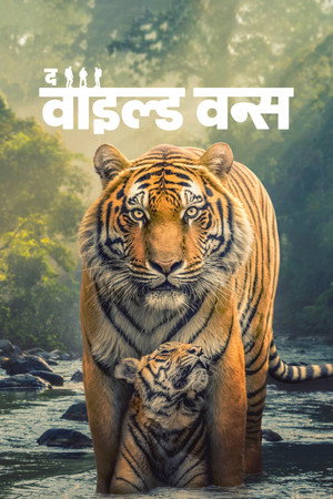 द वाइल्ड वन्स