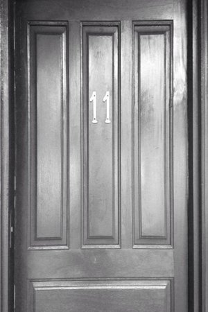 Puerta 11