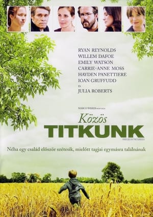 Poster Közös titkunk 2008