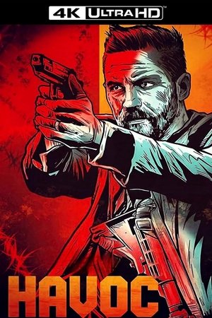 poster Havoc