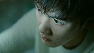 Brief History of a Family (2024)