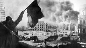 Stalingrad La ruse des rats