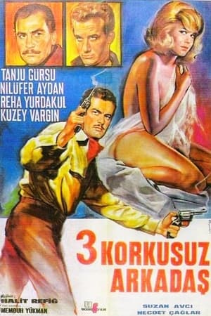 Poster Üç Korkusuz Arkadaş (1966)