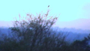 I BURNT MY BRAIN FOR YOU