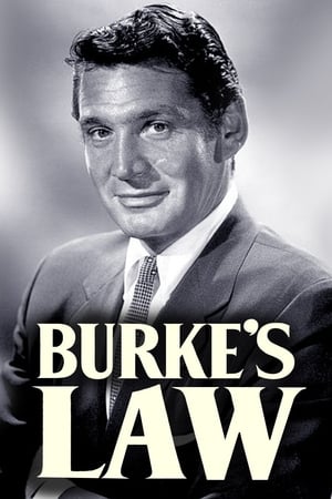 Image Burkes Gesetz