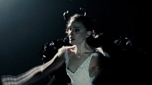 Black Swan 2010