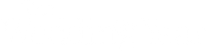 The Wedding Year