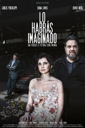 Poster Lo habrás imaginado 2019