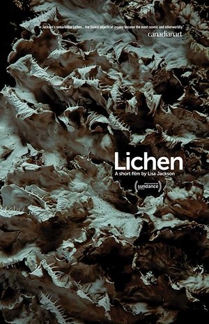 Lichen film complet