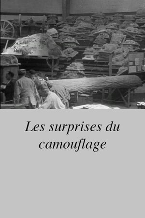 Les surprises du camouflage