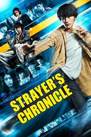 Poster Strayer's Chronicle 2015