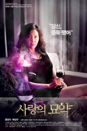 Poster Love Portion (2012)