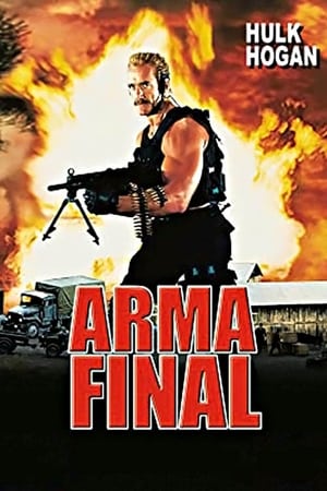 Poster Arma final 1998