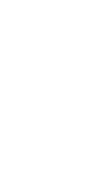 Fever — Logos 1