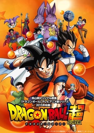 Poster Dragon Ball Super 2015