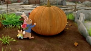 Peter Rabbit The Tale of the Giant Pumpkin