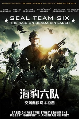 海豹六队：突袭奥萨马本拉登 (2012)