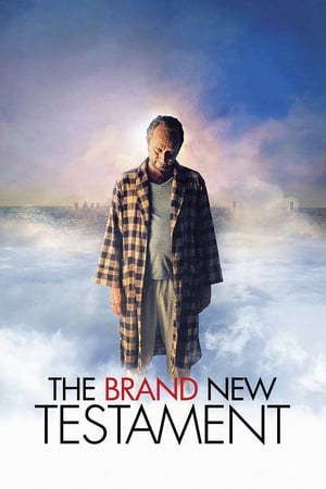 The Brand New Testament (2015) is one of the best movies like A Little Bit Of Heaven (2011)