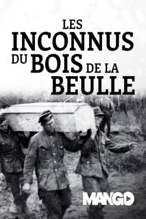 Poster Les Inconnus du bois de la Reulle 2018