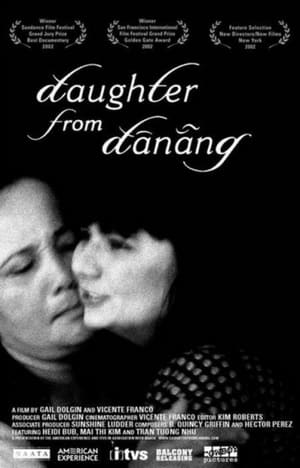 Daughter from Danang poster