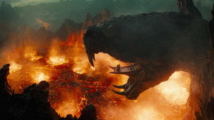Images posters
