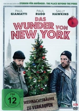 Poster Das Wunder von New York 2013