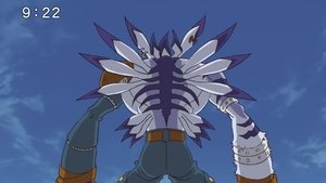 Digimon Adventure: 1×11