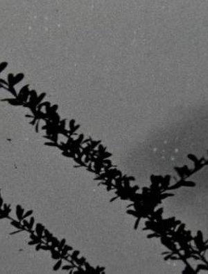 The things that stand the test of time