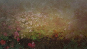 Sisterhood of Secrets