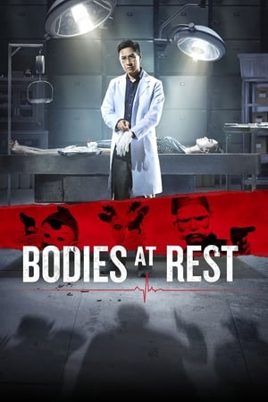 Poster Bodies at Rest (2019)