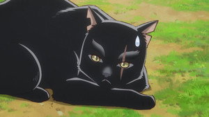 Neko to Ryuu Cap 8