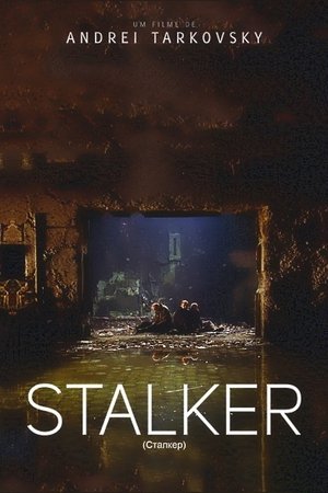 Image Stalker