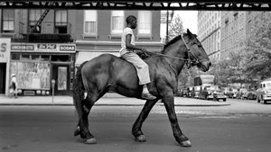 Finding Vivian Maier (2014)