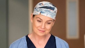 Grey’s Anatomy: Season 14 Episode 13