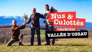 Objectif vallée d'Ossau