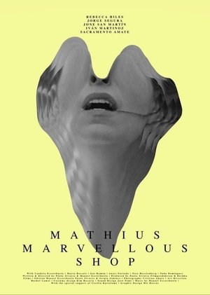 Mathius Marvellous Shop