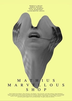 Poster Mathius Marvellous Shop 2019